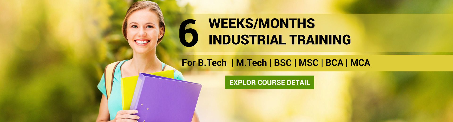 6 Months Industrial Training